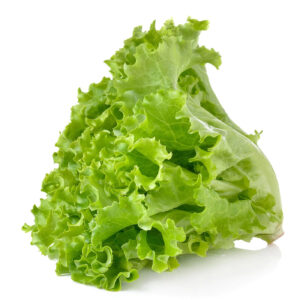 Lettuce (15 seeds)